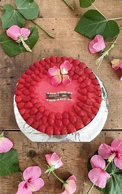 Fraisier