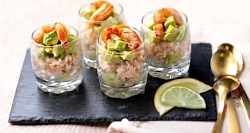 Verrines crave avocat